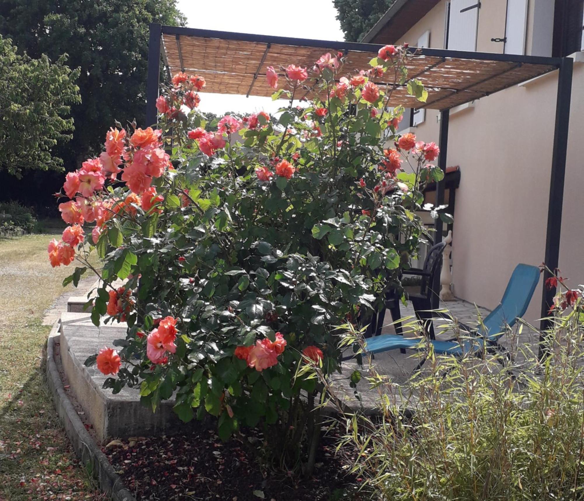 La Salamandre Bed & Breakfast Chazelles  Luaran gambar